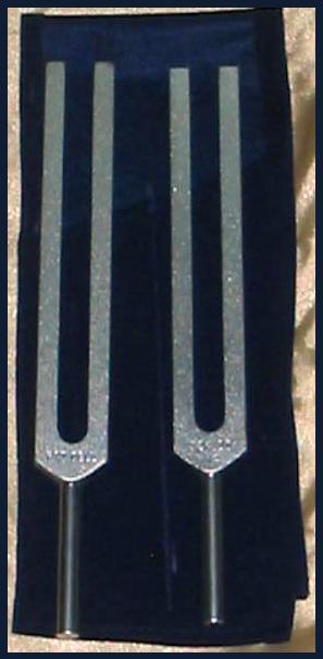 CelluliteFork