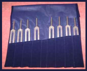 HarmonicForks