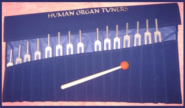 HumanOrgan
