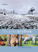 Het grote acrylboek