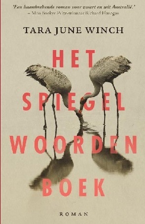 Het spiegelwoordenboek