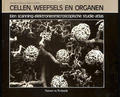 Cellen, weefsels en organen