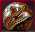 Sublieme handgepolijste bol versteend hout
