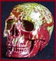 Drakenbloed Jaspis schedel van 98 gram