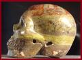 Drakenbloed Jaspis schedel van 94 gram