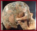 Llianiet schedel van 563 gram