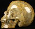 Pinoliet schedel van 1,367 kg