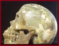 Pyriet Jaspis schedel van 1,588 kg
