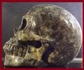 Magische Larvikiet schedel van 1,320kg